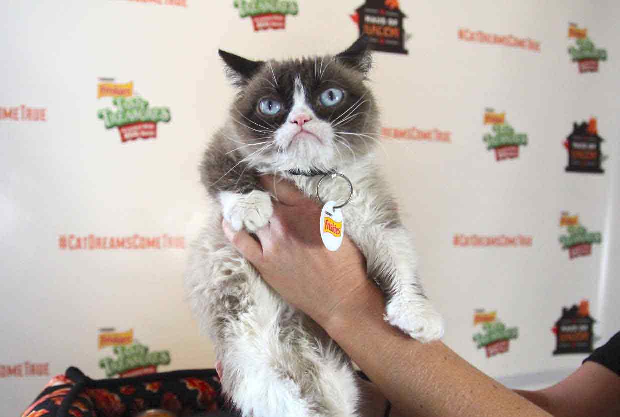 Grumpy-Cat-SXSW-2015